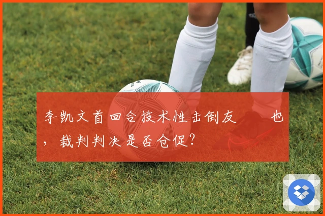 李凯文首回合技术性击倒友實竜也，裁判判决是否仓促？